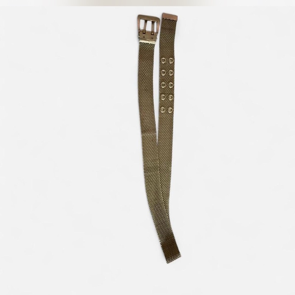 Silver Belt
